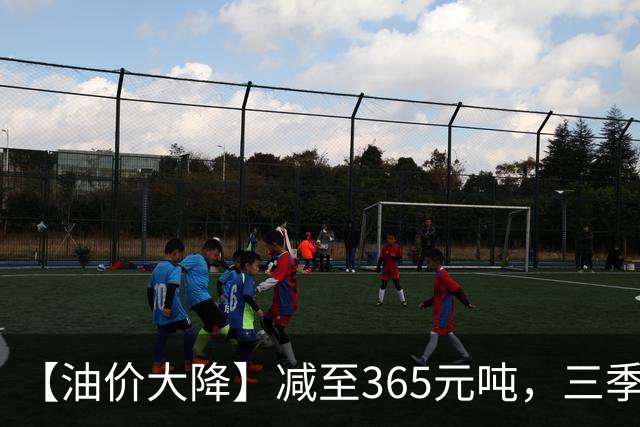 【油价大降】减至365元/吨，三季度92汽油“跌至7.15元/升”后“垂直”上涨，接近8.6元/升，下次10月15日调价，越跌越多！