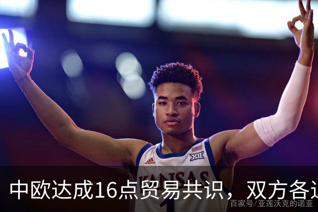 中欧达成16点贸易共识，双方各退半步，但中国想要的欧盟还是没给