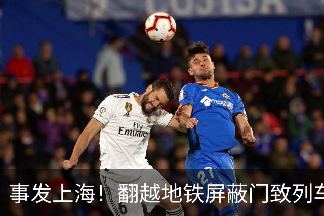 事发上海！翻越地铁屏蔽门致列车延误，乘客张某林被行政处罚