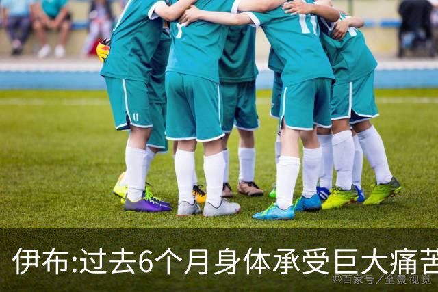 伊布:过去6个月身体承受巨大痛苦 只为帮球队夺冠