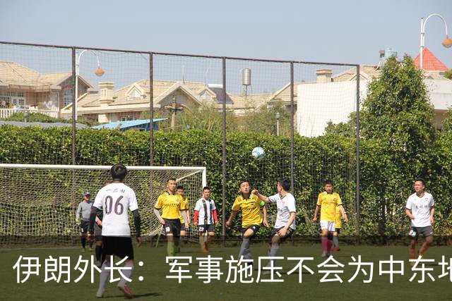 伊朗外长：军事施压不会为中东地区带来和平