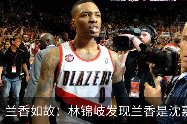 兰香如故：林锦岐发现兰香是沈嘉兰后烧光证据，直到程凤仙勾结海盗血洗林府，才知自己当初一个字都没往外漏是多正确的决定！