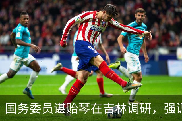 国务委员谌贻琴在吉林调研，强调要高水平运营好足球青训中心