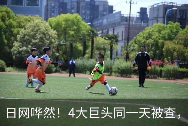 日网哗然！4大巨头同一天被查，日网：早就觉得不对劲了...