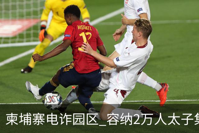 柬埔寨电诈园区 容纳2万人太子集团内部曝光 墙上写中文：请不要假装很努力