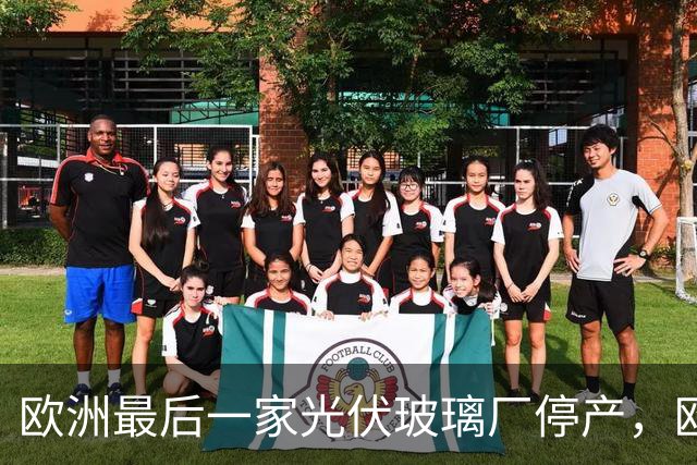 欧洲最后一家光伏玻璃厂停产，欧盟紧急发布：不再对中国生产的光伏玻璃收税！理由很荒唐
