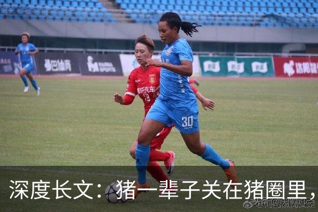 深度长文：猪一辈子关在猪圈里，为什么不会"憋疯"抑郁？其实它会
