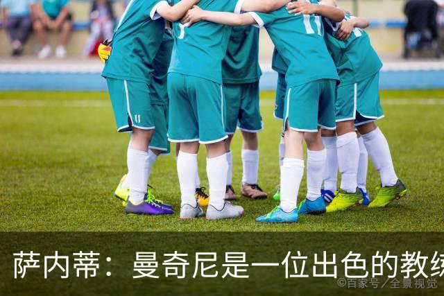 萨内蒂：曼奇尼是一位出色的教练，意大利队还需要时间去磨合