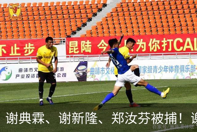 谢典霖、谢新隆、郑汝芬被捕！谢衣凤回应来了，王惠美该出手了！