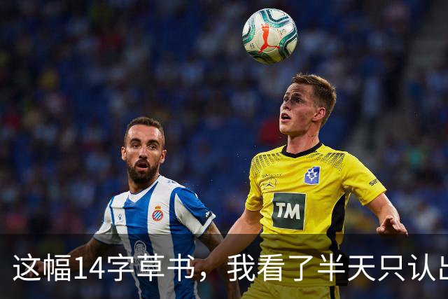 这幅14字草书，我看了半天只认出3个！据说全读对的人练了5年书法——可网上偏偏有人争：这到底是楷书的底子，还是草书的底子？