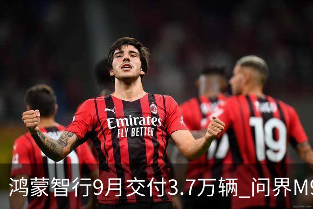 鸿蒙智行9月交付3.7万辆 问界M9太能打