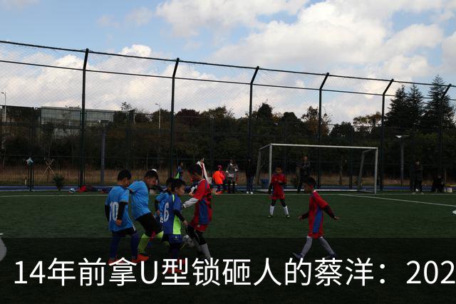 14年前拿U型锁砸人的蔡洋：2022年出狱，找不到工作靠打零工为生