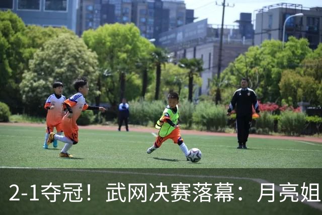 2-1夺冠！武网决赛落幕：月亮姐1000赛首冠，赛后激动落泪，太励志了